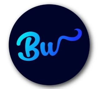 Big Wave Swim Academy